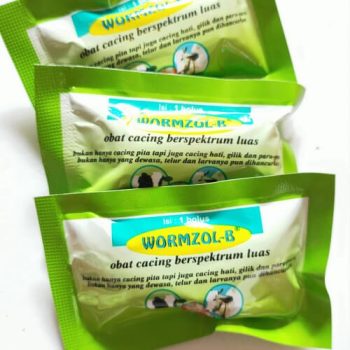 MEDION WORMZOL B 1 SACHET OBAT CACING SAPI KAMBING KUDA DOMBA KERBAU