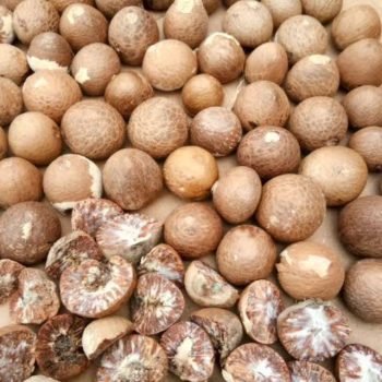 PINANG KERING KUALITAS SUPER 1 KG PINANG JAMBE BULAT
