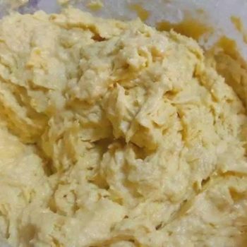 TEMPOYAK DURIAN PREMIUM 500 g