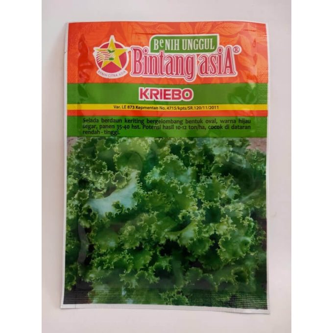 Benih/Bibit Selada Keriting Hijau KRIEBO Kemasan 10 GRAM