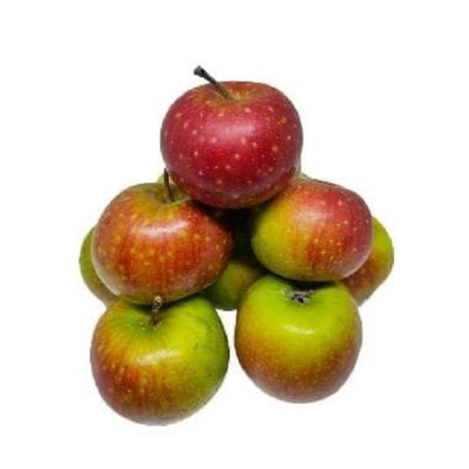 Apel malang 1 kg