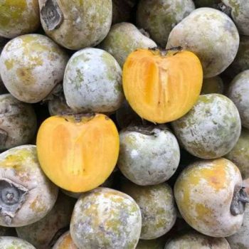 Buah Kesemek 500g Segar Masih Baru