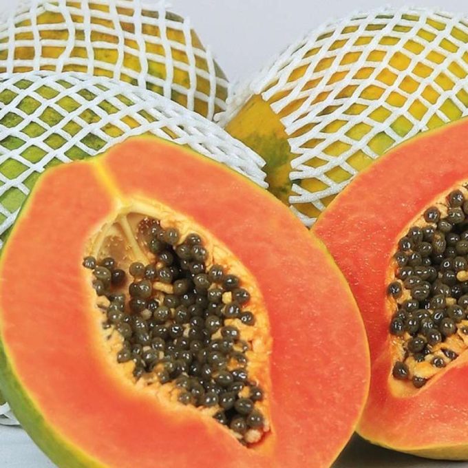 PEPAYA HAWAI 1 KG SEGAR