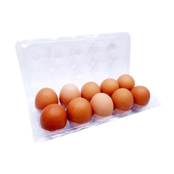 TELUR AYAM 10 PCS BOX MIKA