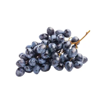 Buah Anggur Hitam Fresh 1 kg Fresh Enak