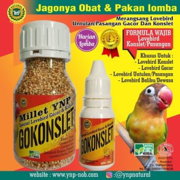 GO KONSLET GOKONSLET YNP PAKAN DAN VITAMIN BURUNG MENINGKATKAN KEGACORAN MEMICU KONSLET AKTIF BUNYI POWER FULL UNTUK LOVEBIRD DLL