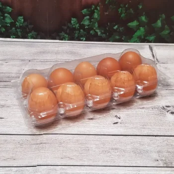 TELUR AYAM 10 PCS BOX MIKA