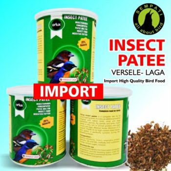 INSECT PATEE VERSELE-LAGA PAKAN BURUNG MURAI KACER CENDET DLL