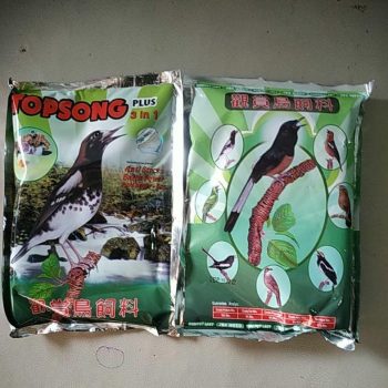 TOP SONG RUMPUT LAUT 3IN1 PLUS PAKAN BURUNG KACER ANIS KEMBANG MURAI CUCAK IJO JALAK