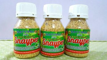 NATURAL OB EXTRA SNAYPER YNP PAKAN BURUNG LOVEBIRD