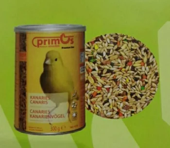 PRIMUS CANARY CANARIES BENELUX PAKAN BURUNG KENARI