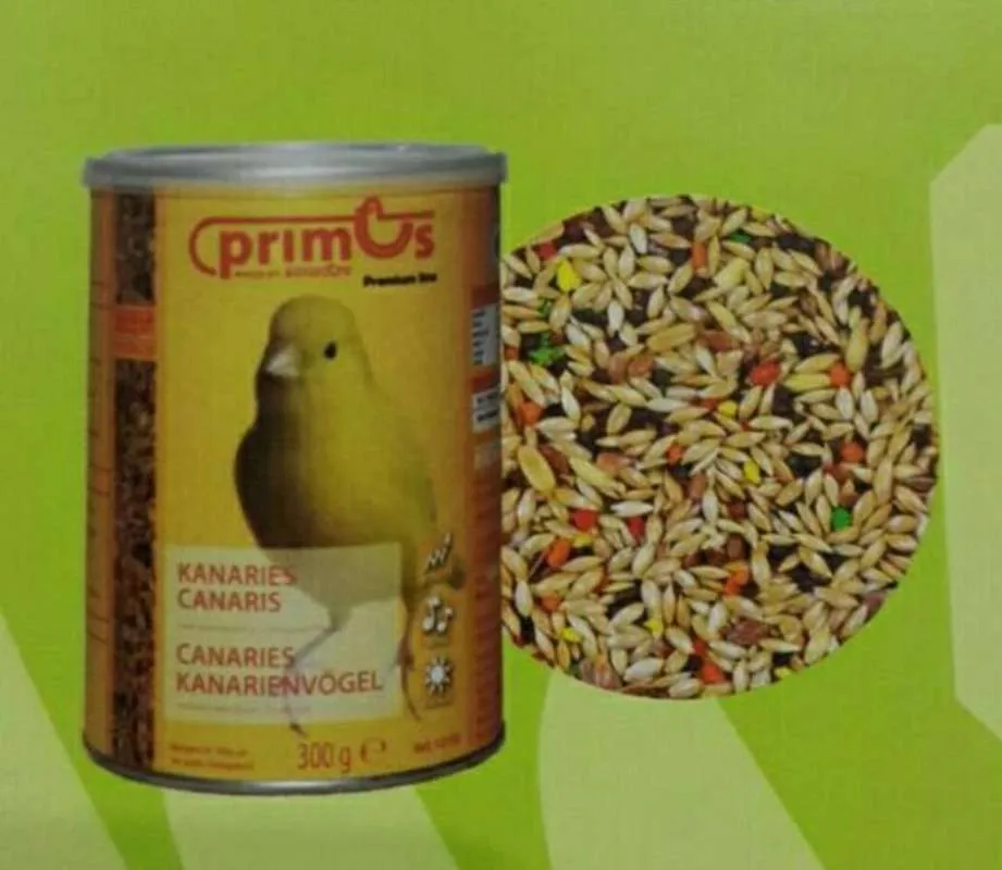 PRIMUS CANARY CANARIES BENELUX PAKAN BURUNG KENARI 1 PRIMUS CANARY CANARIES BENELUX PAKAN BURUNG KENARI
