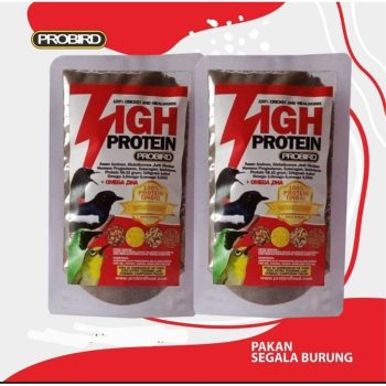 PAKAN BURUNG KACER MURAI CUCAK HIJAU PLECI HIGH PROTEIN VOER PROBIRD