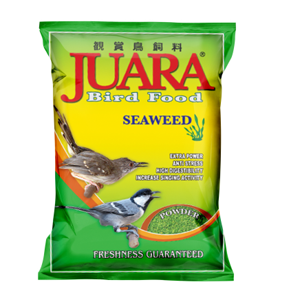SEAWEED POWDER JUARA JAPFA PAKAN BURUNG ANIS MERAH 1 SEAWEED POWDER JUARA JAPFA PAKAN BURUNG ANIS MERAH