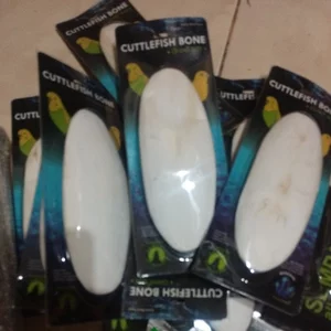 CUTTLEFISH BONE TULANG SOTONG CANGKANG ASINAN CUMI SUPER JUMBO PREMIUM KALSIUM IODIUM GARAM MINERAL UNTUK BURUNG KENARI LOVEBIRD PARKIT PERKUTUT PARUH BENGKOK DLL 1 CUTTLEFISH BONE TULANG SOTONG CANGKANG ASINAN CUMI SUPER JUMBO PREMIUM KALSIUM IODIUM GARAM MINERAL UNTUK BURUNG KENARI LOVEBIRD PARKIT PERKUTUT PARUH BENGKOK DLL