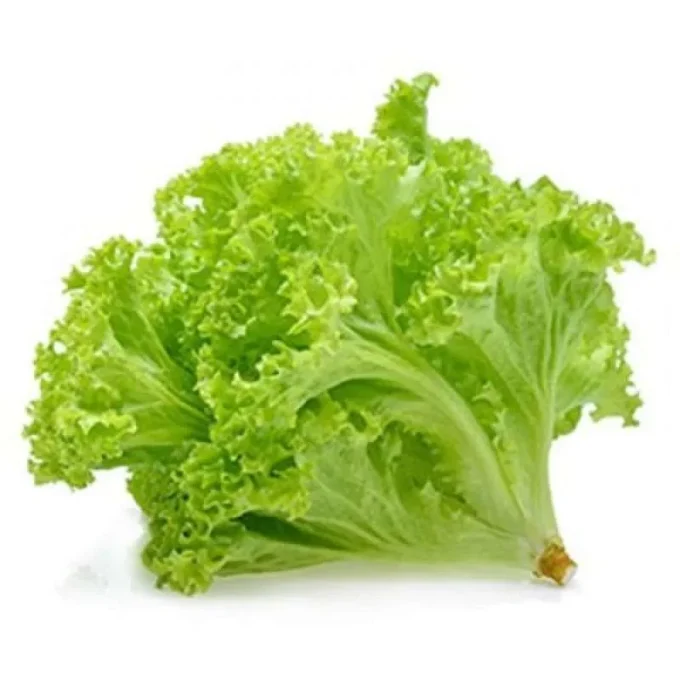 Selada 1 Pack (200g)