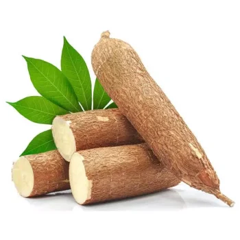 UBI KAYU 1 KG | SINGKONG SEGAR | FRESH BARU DARI KEBUN