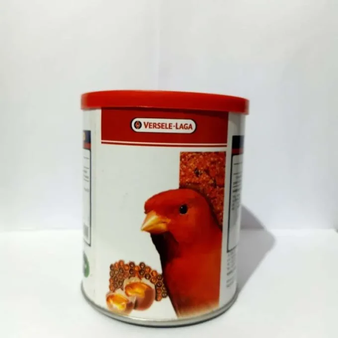 GOLD PATTE RED VERSELE LAGA PAKAN BURUNG KENARI MERAH LOVEBIRD