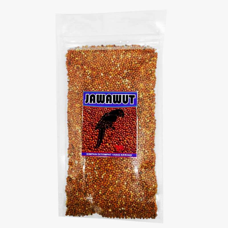 Biji Jawak Biji Kunyit Juwawut Sekoi Foxtail Milet Otek Gabah Merah Pakan Burung Pemakan Biji Bijian 1 Biji Jawak Biji Kunyit Juwawut Sekoi Foxtail Milet Otek Gabah Merah Pakan Burung Pemakan Biji Bijian