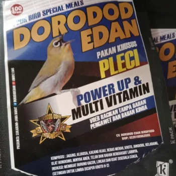 DORODOD EDAN PLECI PAKAN BURUNG PLECI