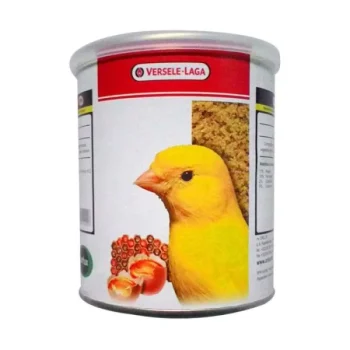 GOLD PATTE YELLOW VERSELE LAGA PAKAN BURUNG KENARI KUNING LOVEBIRD