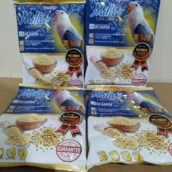 MILLIE LOVEBIRD PAKAN MILLET PUTIH UNTUK BURUNG JUARA LOMBA RAJIN BUNYI