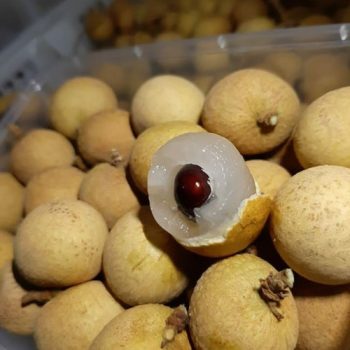 Kelengkeng Thailand Fresh 1 kg | Buah Segar