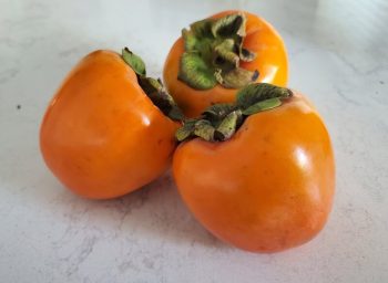 Buah Persimon / Persik / Persimmon 1kg Import Fresh Premium