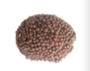 Kribo Bread Roti Manis Saimen