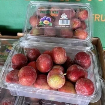 BUAH PLUM MERAH SEGAR -+ 800-900 GR FRESH PREMIUM GOOD QUALITY