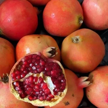 Buah Delima Segar 500g Premium