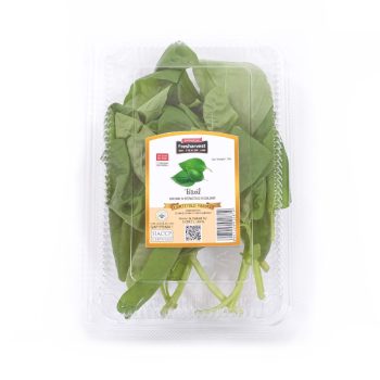 Rempah penyegar. Biasanya daun basil digunakan untuk penambah rasa pada pasta, berbagai olahan ikan atau salad dalam makanan khas Italia. Keunggulan : • Panen dari ladang bersertifikasi GAP PRIMA-1. Sayuran Daun Basil Fresharvest