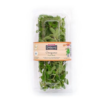 Sayuran Segar Daun Oregano Fresharvest