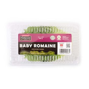Fresh Baby Romaine 1 Box (280 g)