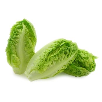 Fresh Baby Romaine 1 Box (280 g)