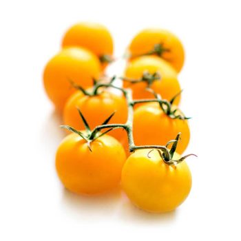 Fresh Yellow Cherry Tomato | Tomat Ceri Kuning Segar per Pack