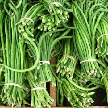 Kacang Panjang Segar 500g Sayur Fresh Daily Premium Good Quality