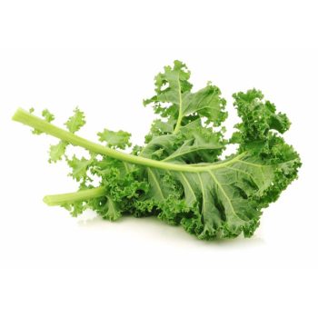 FRESH CURLY KALE HYDROPONIC 100g