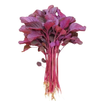 BAYAM MERAH SEGAR 1 IKAT