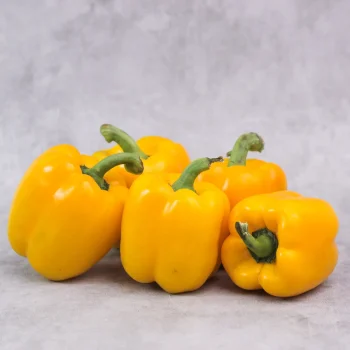Nikmati kelezatan dan manfaat kesehatan dari paprika kuning segar berkualitas premium. Dengan warna cerah yang menggoda dan rasa manis yang khas, paprika kuning ini cocok untuk berbagai jenis masakan, mulai dari salad segar, tumisan, hingga hidangan panggang. Berat Bersih: 5 kg Kualitas: Segar dan alami, langsung dari petani terpercaya. Manfaat Kesehatan: Kaya akan vitamin C, antioksidan, dan serat yang baik untuk sistem pencernaan. Penggunaan: Cocok untuk konsumsi harian, acara spesial, atau tambahan nutrisi dalam diet sehat Anda. Penyimpanan: Simpan di tempat sejuk dan kering untuk menjaga kesegarannya lebih lama. Paprika Kuning Segar | Fresh Yellow Bell Pepper 5 kg