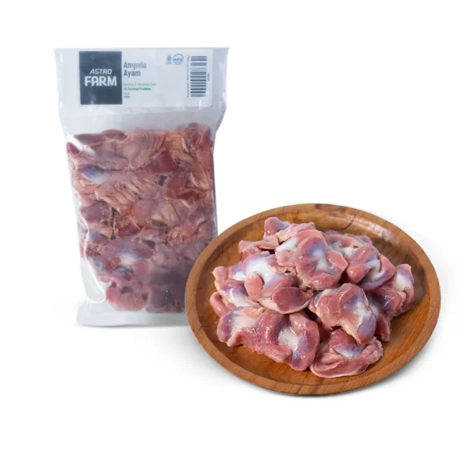 Ampela ayam