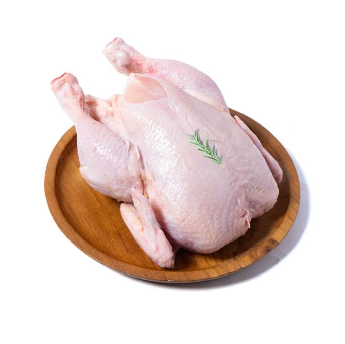 Ayam Broiler Utuh