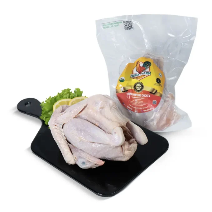 Ayam Kampung Organik Probiotik+Jamu Regular