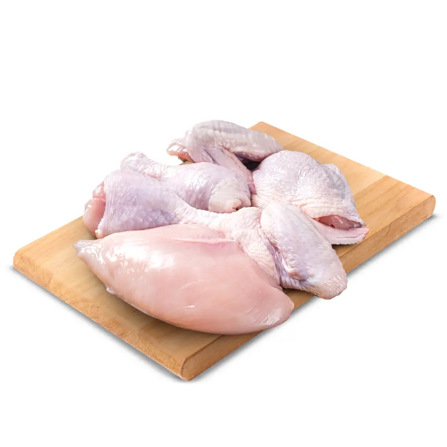 Ayam Pejantan 1 Ayam Pejantan