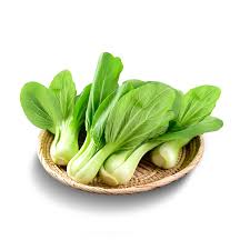 Baby pakcoy - Hydroponic
