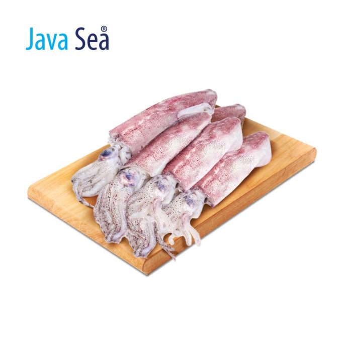 Cumi utuh 4-6 cm Java Sea