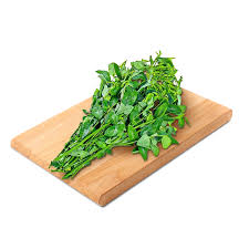 Daun Katuk