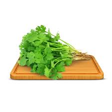 Daun Ketumbar