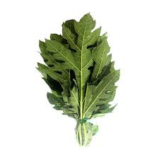 Daun Pepaya
