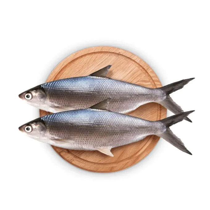 Ikan Bandeng Bersih